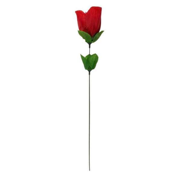 Rose with Red G-string – Image 3