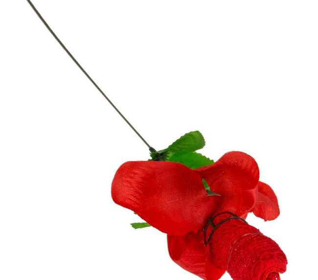 Rose with Red G-string