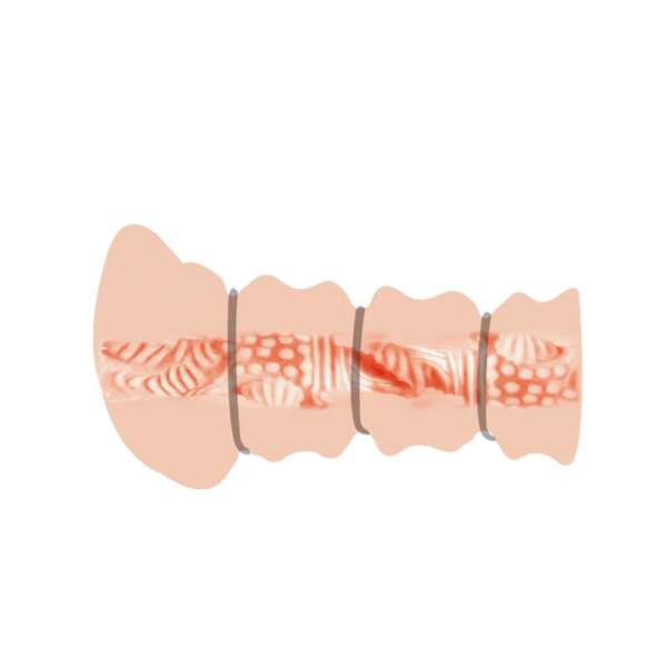 Rossi Flesh 3D Vagina Masturbator – Image 5
