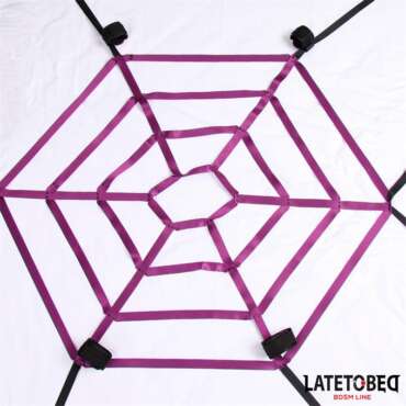Spider Web Bed Bondage