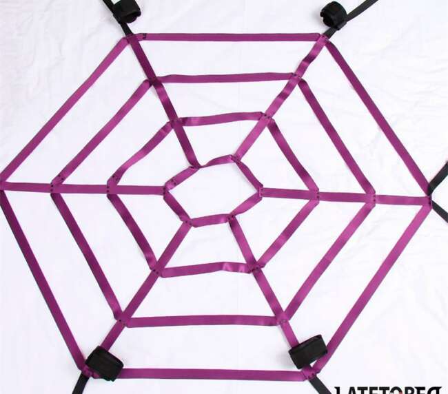 Spider Web Bed Bondage