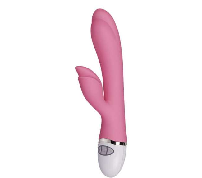 Vibe Dreamer II USB Rose