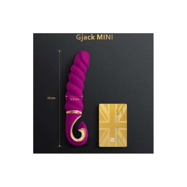 Vibe Gjack Mini Sweet Raspberry – Image 4