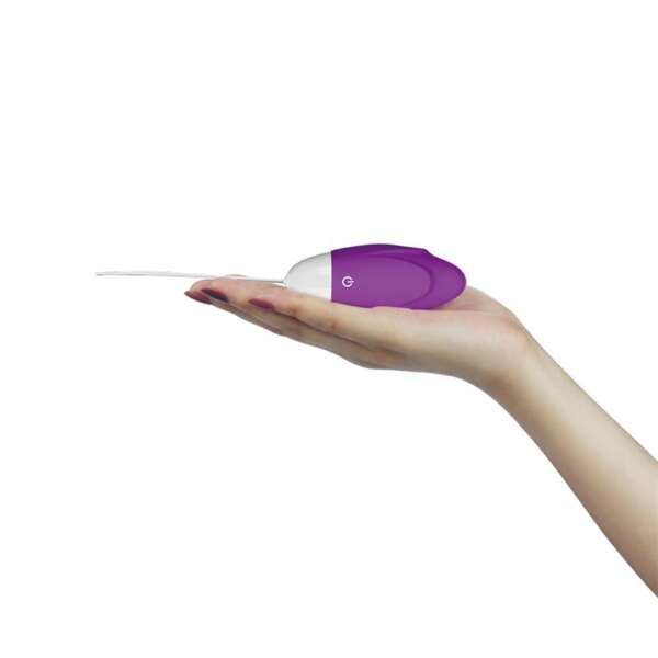 Vibrating Egg iJoy Remote Control USB Purple – Image 5