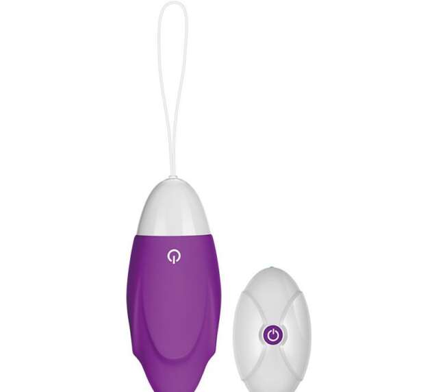 Vibrating Egg iJoy Remote Control USB Purple