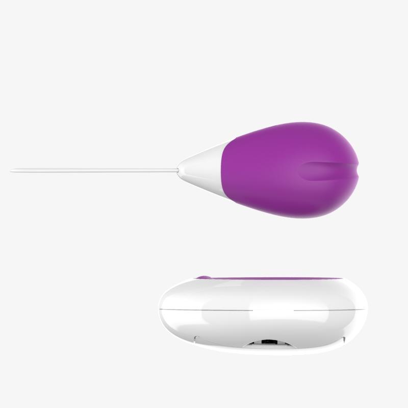 Vibrating Egg with Remote Control USB Purple – Image 5