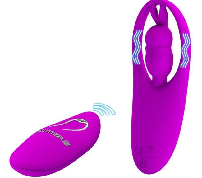 Wild Rabbit Panty Stimulator Remote Control